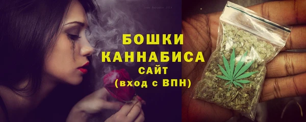 дмт Богородск