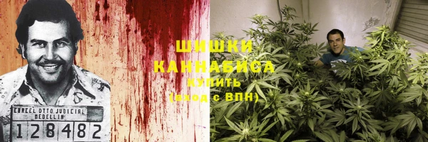 mdpv Богданович