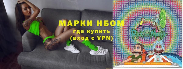 дмт Богородск