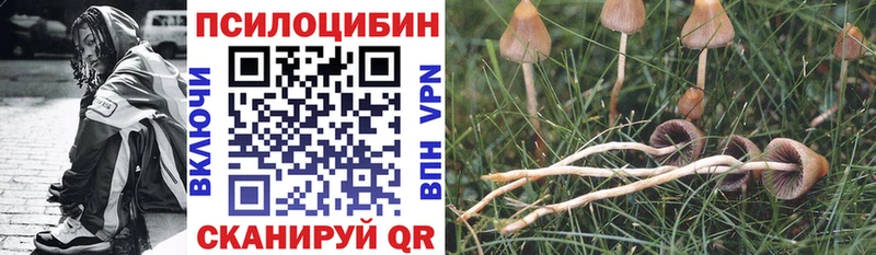 Галлюциногенные грибы MAGIC MUSHROOMS  KRAKEN маркетплейс  Люберцы 